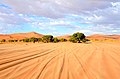 Sandpad zum Sossusvlei in Namibia (2017)