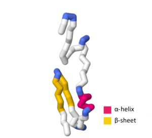 SymE Toxin