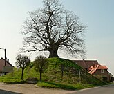 Tumulus von Evessen 01.06.2019 (Archiv: 2019)