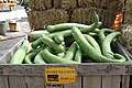 Serpentine snake gourds in Media, Pennsylvania, United States