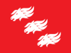 Flag of Skedsmo Municipality