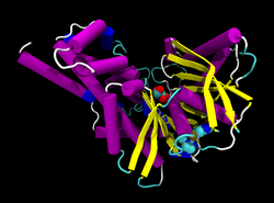 Glucokinase