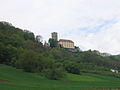 Burg Guttenberg bei Haßmersheim (Mai 2005)