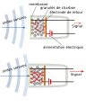 français .svg