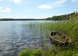 rowing boat by lakeside