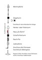 Vorschaubild der Version vom 13:22, 22. Nov. 2019