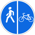 Segregated pedestrian and cycle path