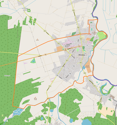 Mapa konturowa Włodawy, blisko centrum na prawo znajduje się punkt z opisem „Muzeum – Zespół Synagogalny we Włodawie”