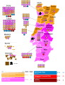 2002 Portuguese Legislative Election