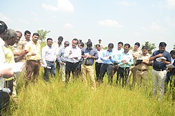 An image showing members of a group involved in Community based grassland conservation