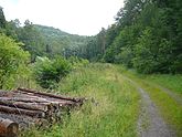 Oberes Holpertal: Blick nach Nordosten zum Burgberg der Ruine Meistersel und zum Gebirgspass Drei Buchen