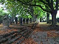 Jüdischer Friedhof Steinkluppe