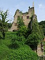 Bild 7: Innenansicht der Südseite des Palas der Oberburg. Im Vordergrund links ein Teil des Burghofes, rechts die östliche Ringmauer