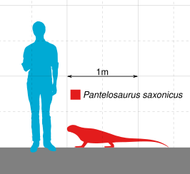 Pantelosaurus