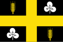 Flagge der Gemeinde Raalte