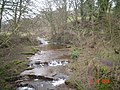 River Nidd at Lofthouse