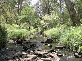 Werrikimbe-Nationalpark