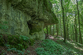 Bild 10: Westliche Seite der Kernburg mit kleiner Höhle und Abri. Im Bildhintergrund die Stelle der Vorburg. (Juni 2015)