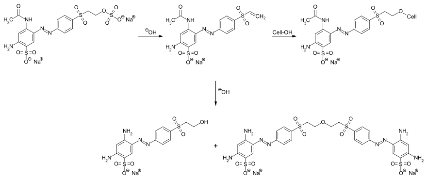 Färbeprozess von Cellulose mit C.I. Reactive Orange 107