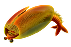 Life restoration of Odaraia, which had a trifurcate tail and probably habitually swam upside down