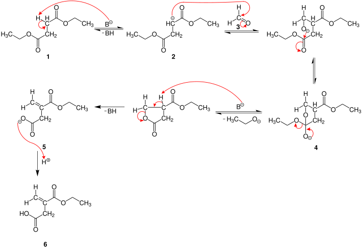 Mechanismus der Stobbe-Kondensation