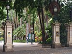 Brisbane City Botanic Gardens