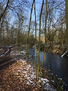 Das Naturschutzgebiet „Große Laache“ in Pulheim.