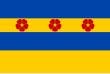 Vlag