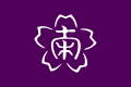 Flag of Minamiaiki, Nagano.svg