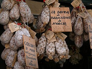 Norcia