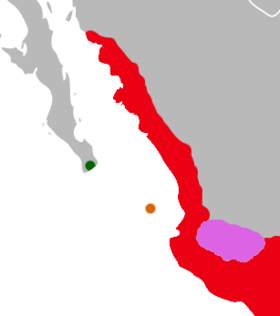 Distribution of Oryzomys albiventer (in pink) and other western Mexican Oryzomys.