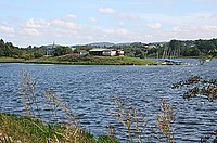 St Margaret's Inch at Loch of Forfar