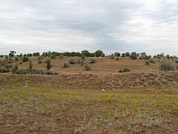 Landscape in Nikolayevsky District