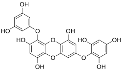 Chemical structure of 7-phloreckol