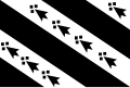 Bandera Pays Rennes.svg SVG: historical flag of Pays Rennais (Bro Roazhon), Brittany, France.