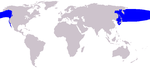 North Pacific right whale range