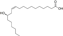 Stereo, skeletal formula of lesquerolic acid (Z,R)