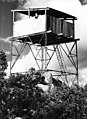 Mt Nugong. The cabin was added in about 1954/55. Photo taken by Melbourne bushwalking club.