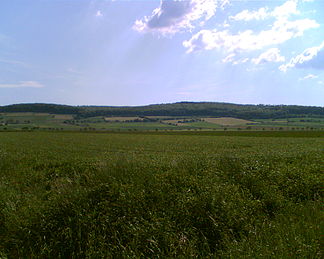 Nordost-Seite des Höhenzugs Ahlsburg