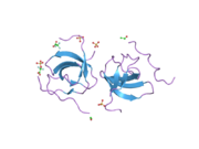 1w70: SH3 DOMAIN OF P40PHOX COMPLEXED WITH C-TERMINAL POLYPROLINE REGION OF P47PHOX