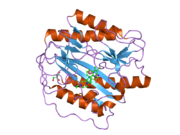 2g6p: Crystal structure of truncated (delta 1-89) human methionine aminopeptidase Type 1 in complex with Pyridyl pyrimidine derivative