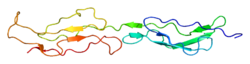 Complement receptor type 1