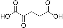 Structuurformule van α-ketoglutaarzuur