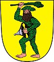 Wappen von Chotusice