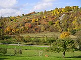 Beim Eintritt nach Ruchsen öffnet sich das Hergstbachtal zum Jagsttal.