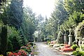 Hochkreuz und Friedhof