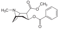 (−)-Kokain, ein Alkaloid in Cocablättern[8]