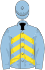 Light blue, yellow chevrons on body