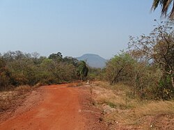 Road in Santa Cruz la Vieja historical park with the mountain Turubó in the background, San José Municipality, Chiquitos Province