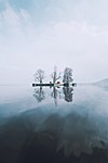 Het eiland Rupa Lank, ook Char Chinar genoemd naar de vier oosterse platanen die er op groeien.